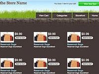 Dozens of professionally designed themes