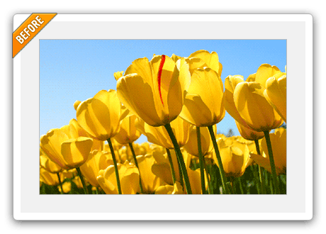 Add Effects to Images!