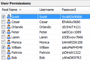 Website Access Manager gives you really, really secure password protection.