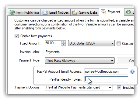 Set Payment Options and Start Making Money