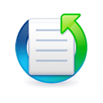 Direct FTP Icon